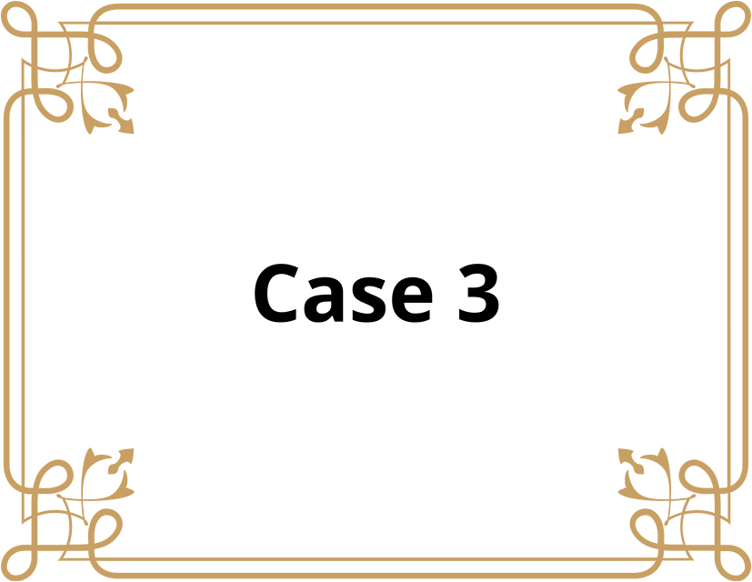 ケース3